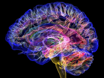 体育生大屌视频大脑植入物有助于严重头部损伤恢复
